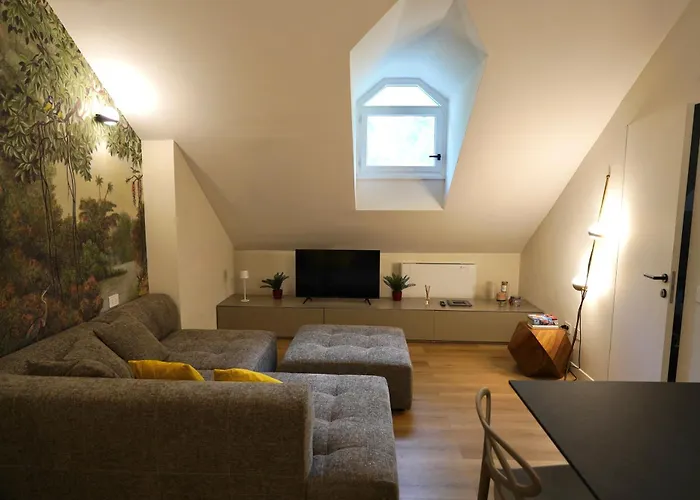 Renewed Historic Flat In Apartament *